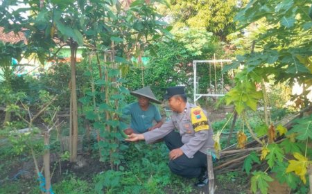 Dukung Ketahanan Pangan Keluarga, Bhabinkamtibmas Ajak Warga Tanam Cabai
